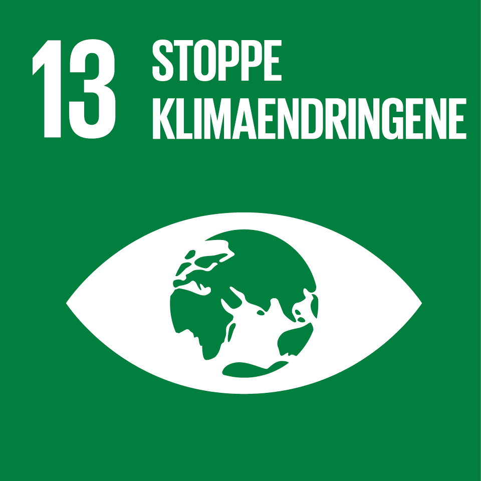 FN SDG 13